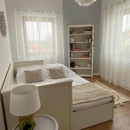 Apartment Delux Paslek